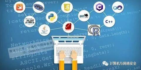 開發數據分析工具用哪種編程語言更好?